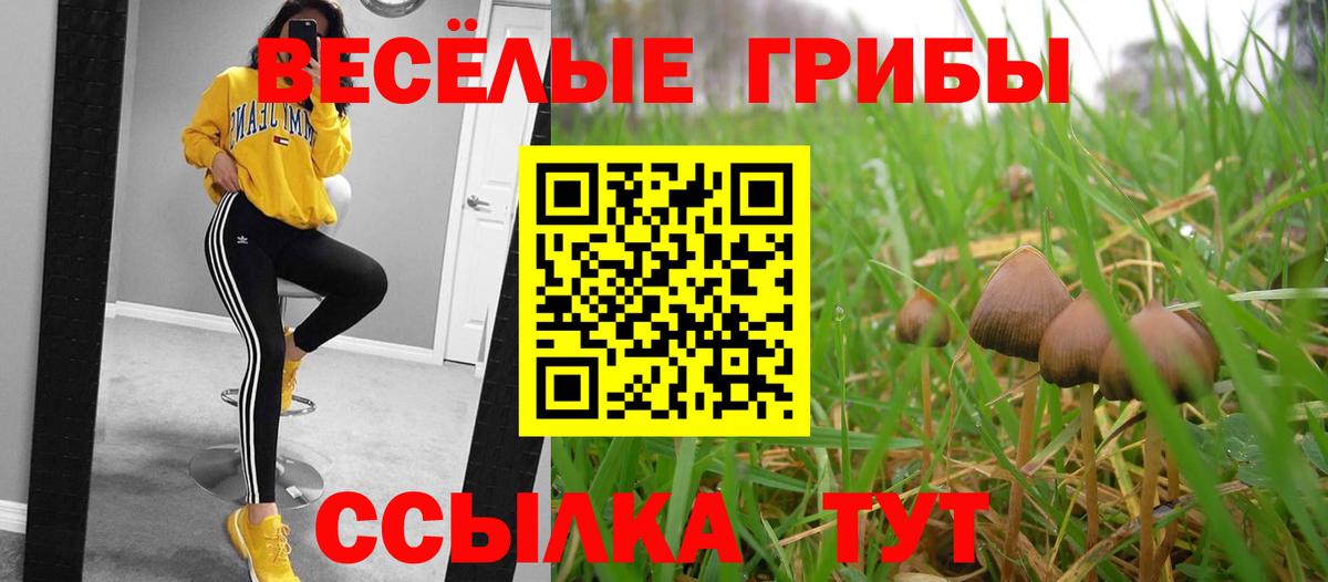 Дальнереченск  Псилоцибиновые грибы Psilocybe  закладка  Вход с VPN 